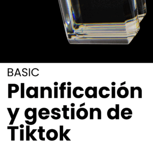 BASIC – Planificación y Gestión TikTok