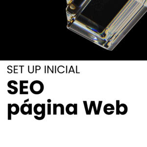 SET UP Inicial – SEO – Alta Servicio de Posicionamiento Web Orgánico