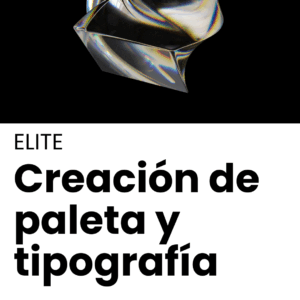 ELITE – Creación paleta cromática y tipografía